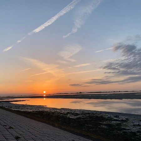Vakantiewoning De Bosrand Aan Zee Sint-Annaland Exterior foto